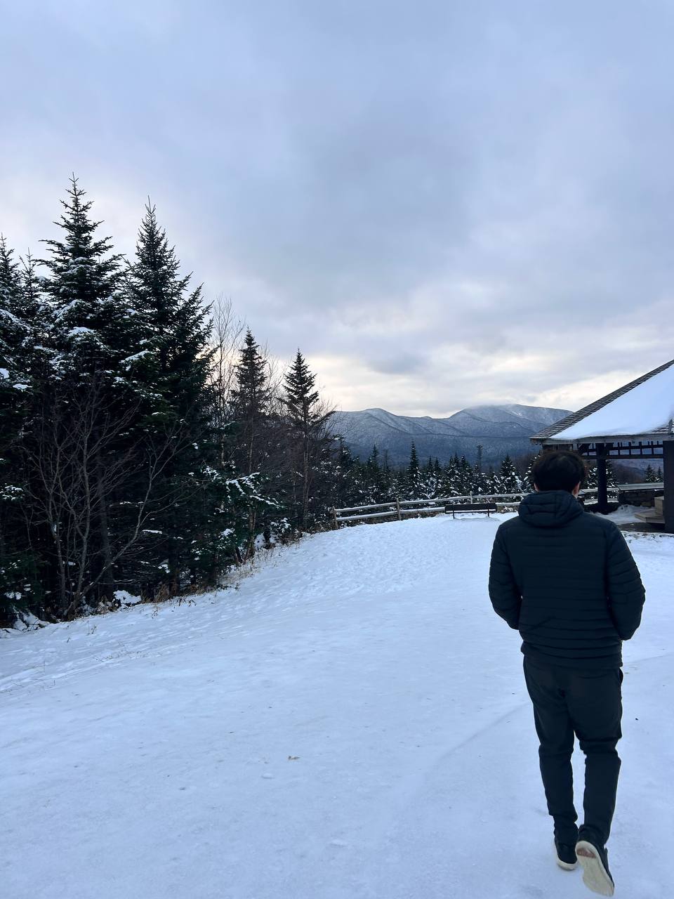 Jack walking on a snowy mountain path — pine trees, mountain range, overcast winter sky