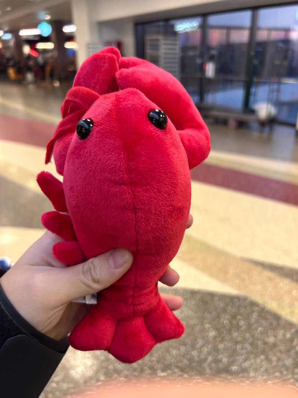 Lobster plushie at airport