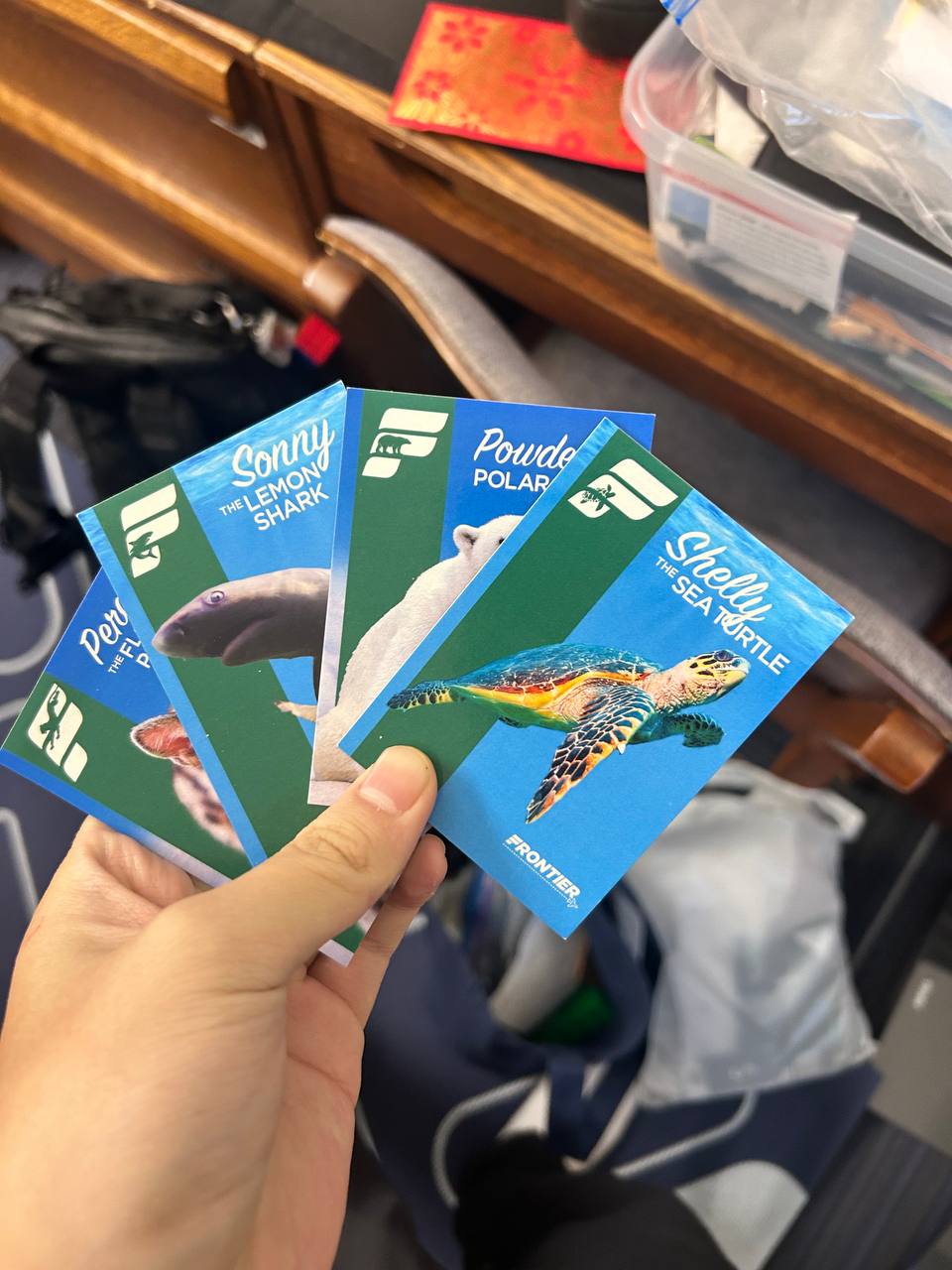 Miami Frontier cards — the travel loyalty program documentation